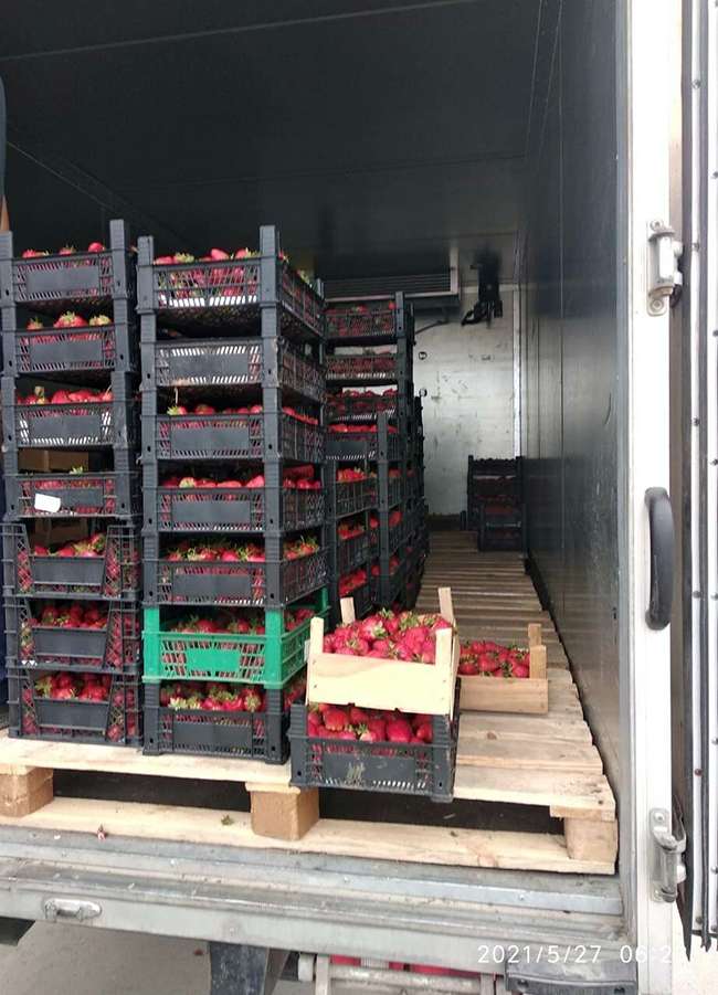 Перевозки с температурным режимом