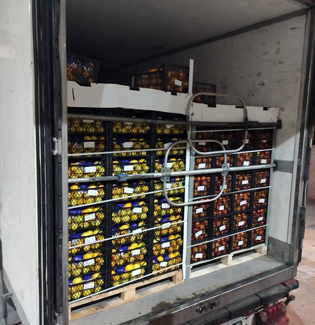 Перевозки с температурным режимом